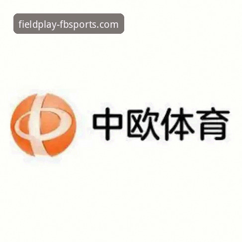 FB体育下载安装 FB体育下载安装:网页版与APP版的全面对比分析